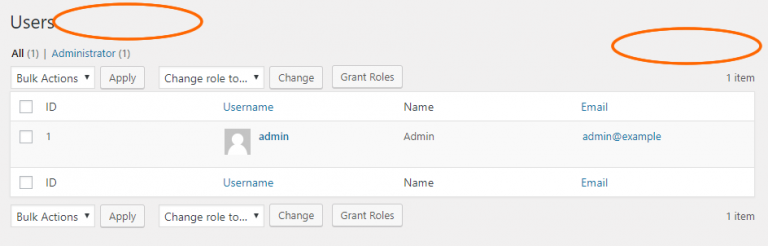 Admin Users | My WP Customize